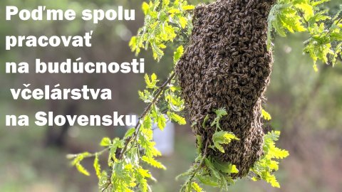 Poďme spolu pracovať na budúcnosti včelárstva na Slovensku